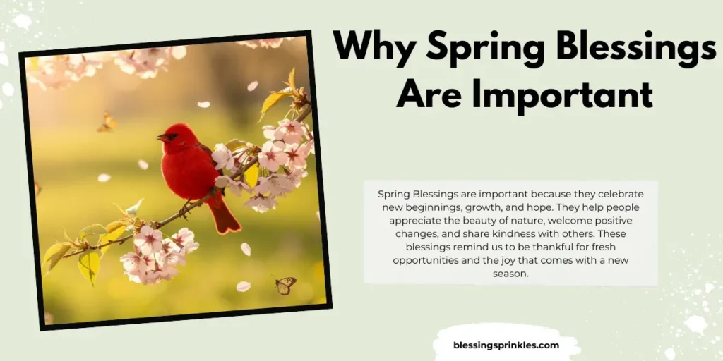 Why Spring Blessings Are Important